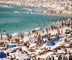 Bondi Cheap Accommodation